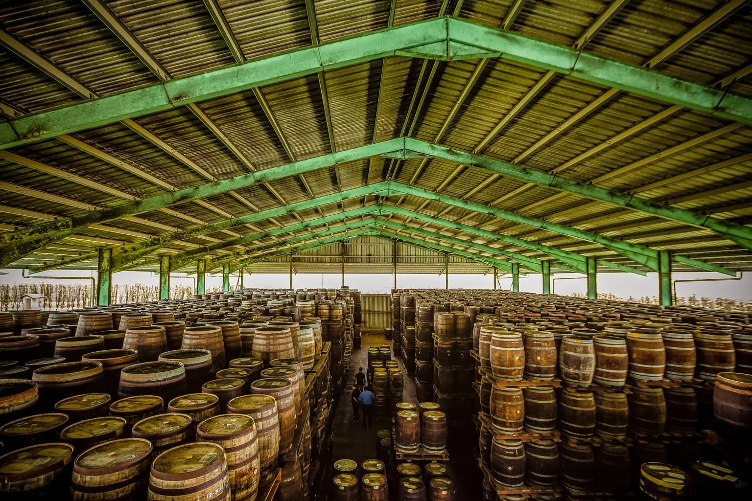Oak rum barrels stacked in a distillery warehouse