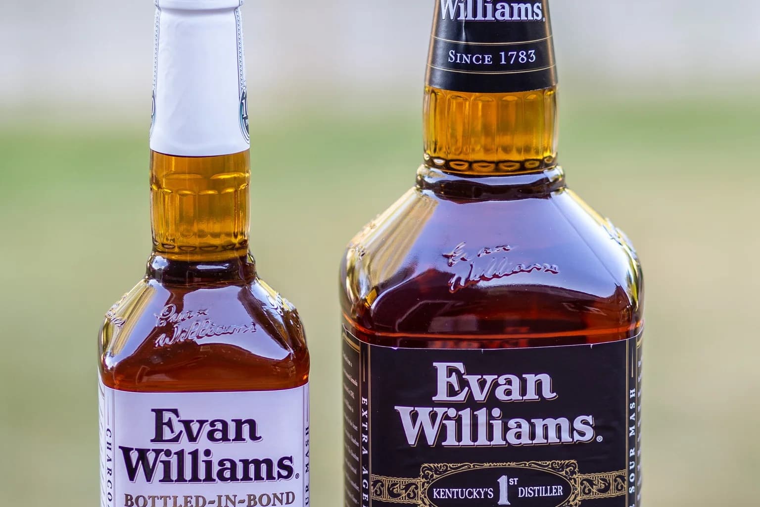Two Evan Williams bourbon bottles side by side — bottled-in-bond white label next to standard black label
