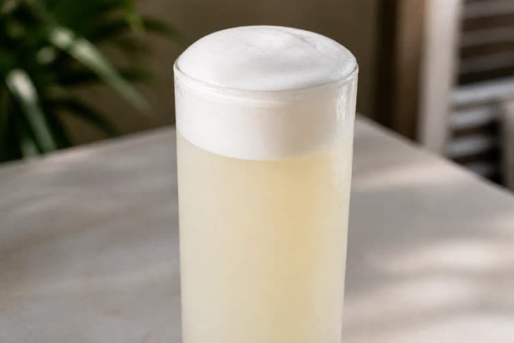 Silver Fizz in a Collins glass, pale cloudy body, dense white foam cap, no fruit garnish.