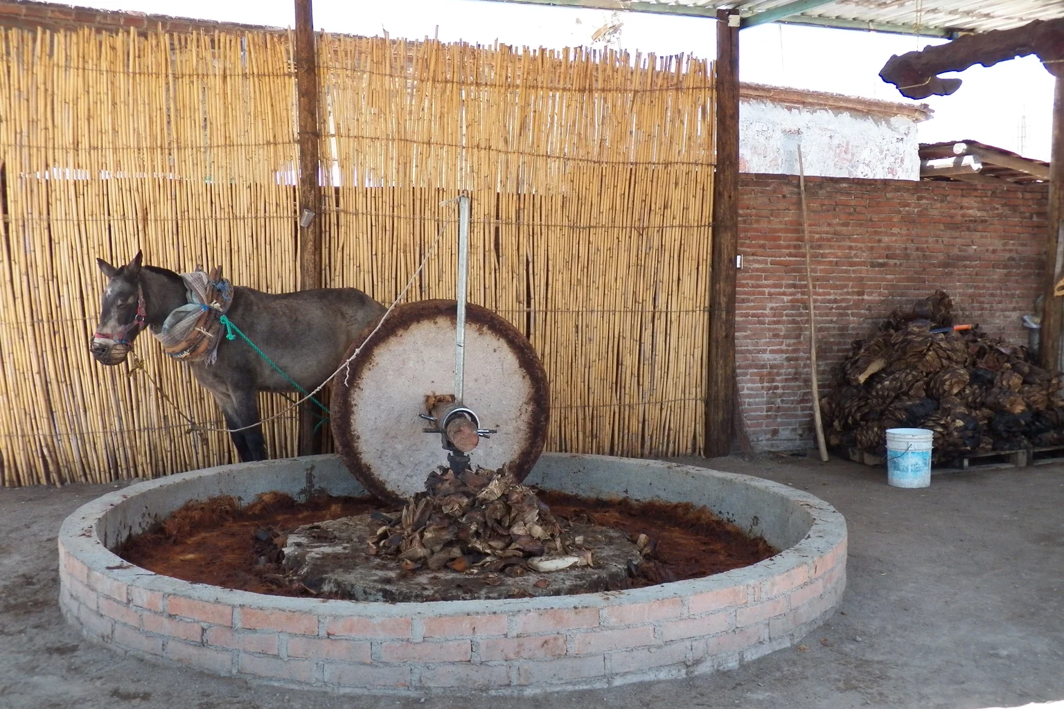 Stone tahona mill crushing cooked agave in a brick pit