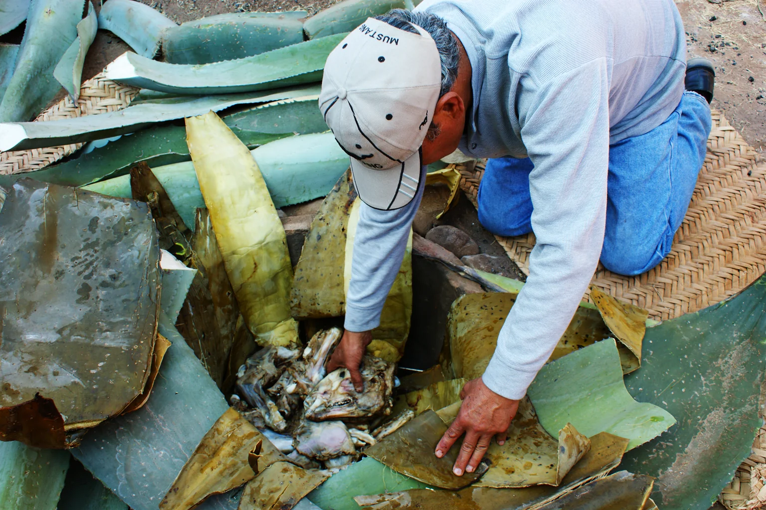 Earthen pit lined with agave leaves for roasting piñas